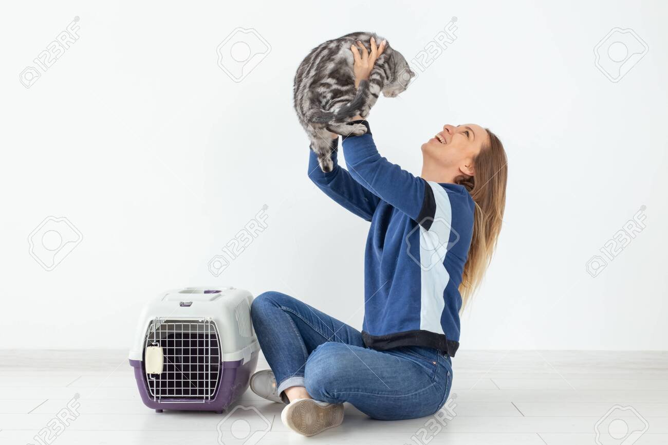 Charming positive young woman holds in her hands her beautiful gray fold scottish cat sitting on the floor in a new apartment. Pet concept. Copyspace